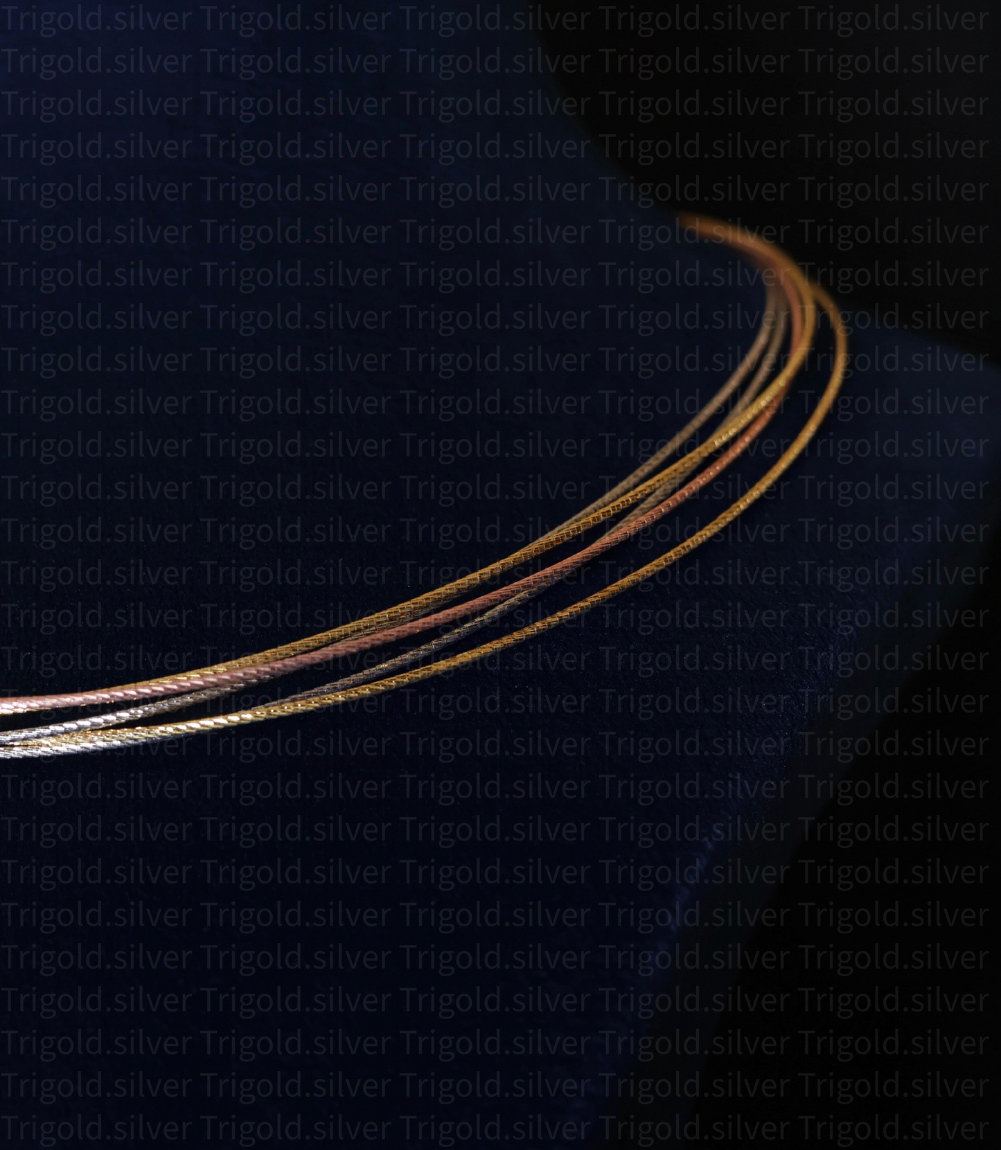 Radiance - Premium 92.5 Silver Hasli Omega Chain